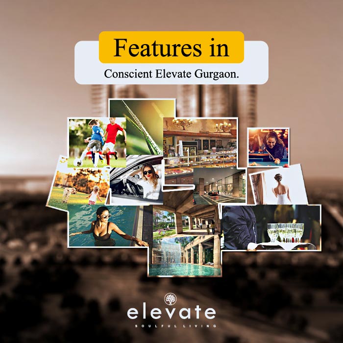 What are the features in Conscient Elevate Gurgaon?